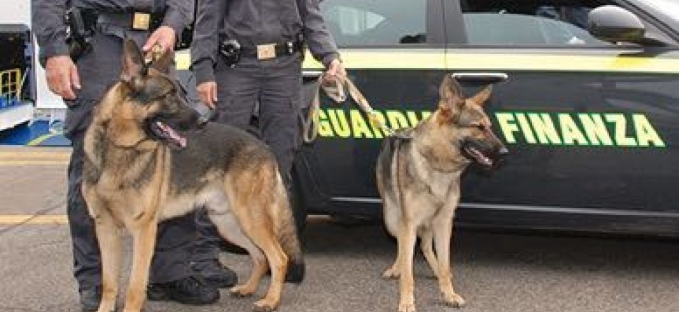 Ancora a segno i cani antidroga della Finanza, fermato un 23enne